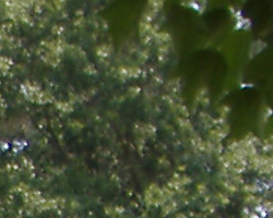 Fujifilm Finepix A350 digital camera image