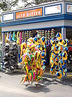 Click to see YDSCF0318.JPG