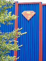 Click to see YDSCF0343.JPG