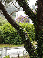 Click to see YDSCF0425.JPG