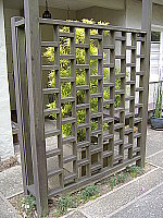 Click to see YDSCF0433.JPG