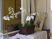 Fujifilm Finepix A350 digital camera image