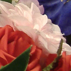 Fujifilm Finepix A350 digital camera image