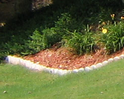 Canon PowerShot A410 digital camera image