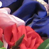 Canon PowerShot A410 digital camera image