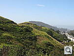 Click to see YIMG_0273.JPG