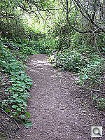 Click to see YIMG_0287.JPG
