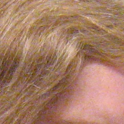 Canon PowerShot A430 digital camera image