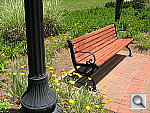 Click to see YIMG_0185.JPG
