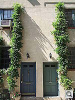 Click to see YDSCF0311.JPG