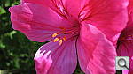 Click to see YIMG_0329.JPG