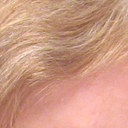 Canon PowerShot digital camera image