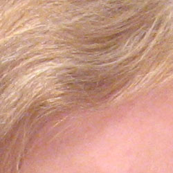 Canon PowerShot digital camera image