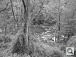 Click to see YIMG_0085.JPG