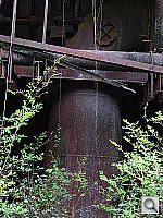 Click to see YIMG_0100.JPG
