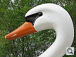 Click to see YIMG_0126.JPG