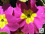 Click to see YIMG_0140.JPG