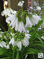 Click to see YIMG_0143.JPG