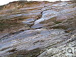 Click to see YIMG_0155.JPG