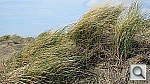 Click to see YIMG_0168.JPG