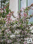 Click to see YIMG_0003.JPG