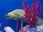 Click to see YIMG_0008.jpg