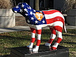 Click to see YA620IMG_1184.JPG