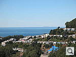 Click to see YIMG_0343.JPG