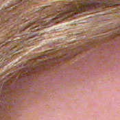 Canon PowerShot digital camera image