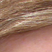 Canon PowerShot digital camera image