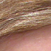 Canon PowerShot digital camera image