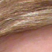 Canon PowerShot digital camera image