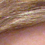 Canon PowerShot digital camera image