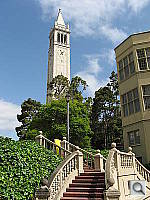 Click to see YIMG_0572.JPG