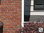 Canon PowerShot digital camera image