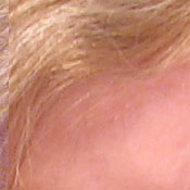 Canon PowerShot digital camera image