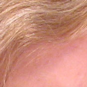 Canon PowerShot digital camera image