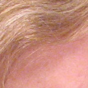 Canon PowerShot digital camera image