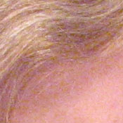 Canon PowerShot digital camera image