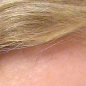 Canon PowerShot digital camera image