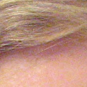 Canon PowerShot digital camera image