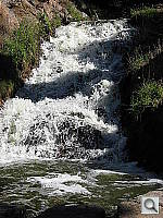 Click to see YIMG_0230.JPG