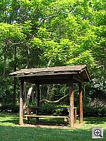 Click to see YIMG_7209.JPG