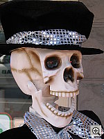 Click to see YIMG_9507.JPG