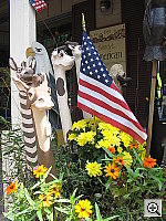 Click to see YIMG_8605.JPG