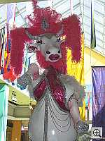 Click to see YIMG_8907.JPG