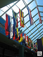 Click to see YIMG_8916.JPG