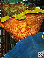 Click to see YIMG_8935.JPG