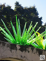 Click to see YIMG_8948.JPG