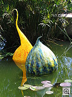 Click to see YIMG_8606.JPG